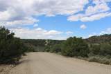 Tract 11 Trementina - Photo 16