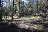 TBD Woodpecker Lane - Photo 13