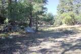 TBD Woodpecker Lane - Photo 14
