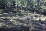TBD Woodpecker Lane - Photo 6