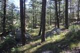 TBD Woodpecker Lane - Photo 9