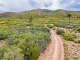 TBD Usfs Forestroad 132A - Photo 26