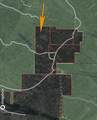 TBD Usfs Forestroad 132A - Photo 32