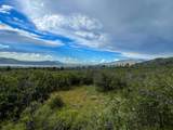 TBD Usfs Forestroad 132A - Photo 37