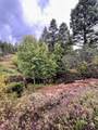 Lot 224 Vista Del Valle Overlook - Photo 1
