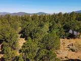 Tract C Forest Road 493 - Photo 11