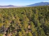 Tract C Forest Road 493 - Photo 4