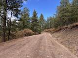 Lot 173 Vail Overlook - Photo 8
