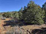Tract 4 Verde Road - Photo 15