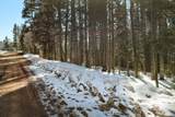 lot 1263 Starlight Overlook - Photo 6