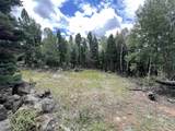 Lot 1140 Panorama Way - Photo 10