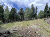 Lot 1140 Panorama Way - Photo 12