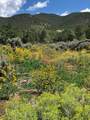 2008 Cottontail Rd 2 Lots - Photo 13