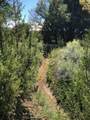 2008 Cottontail Rd 2 Lots - Photo 8