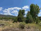 2 acre lot Cottontail - Photo 13