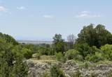 2 acre lot Cottontail - Photo 14