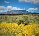 2 acre lot Cottontail - Photo 2