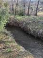 2 acre lot Cottontail - Photo 4