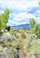 2 acre lot Cottontail - Photo 6