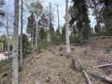 Lot 132 Rio Grande Terrace - Photo 6