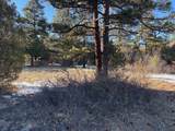 29655 Hwy 64 - Photo 19