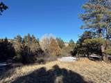 29655 Hwy 64 - Photo 23