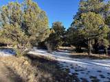 29655 Hwy 64 - Photo 24