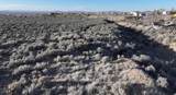Tract T Laguardia Road - Photo 26