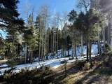 Lot 90 Zia Rd - Photo 10