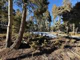 Lot 90 Zia Rd - Photo 13