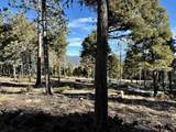 Lot 90 Zia Rd - Photo 18