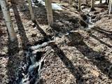 Lot 90 Zia Rd - Photo 4