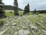 49 Acres Off El Camino Real - Photo 17