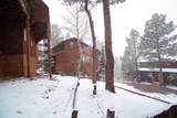 20 Five Springs - Photo 2