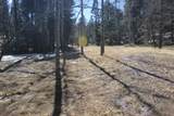 Lot 265 El Camino Real - Photo 11