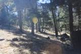 Lot 265 El Camino Real - Photo 17