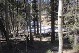 Lot 265 El Camino Real - Photo 6