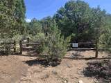 Lot 7 Verde - Photo 4