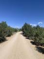 Lot 7 Verde - Photo 9