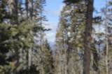Lot 19 Happy Way - Photo 1