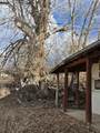 1116 Witt Road - Photo 8