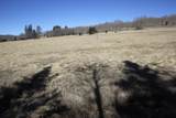Lot 106 Quail Ridge - Photo 2