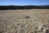Lot 106 Quail Ridge - Photo 5