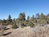 9 Lama Foundation Road - Photo 28