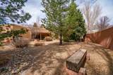 101 Los Pandos Lane - Photo 48