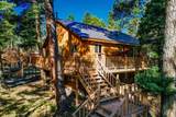59 Circle Drive - Photo 4