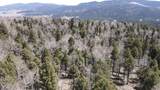 Lot 101 Zia Rd - Photo 4