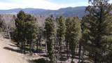 Lot 101 Zia Rd - Photo 6