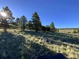 Lot 3 Off Of Hwy 120 Gonzales Sub - Photo 5