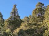 Taos Canyon X Sombra Del Oso Rd - Photo 1